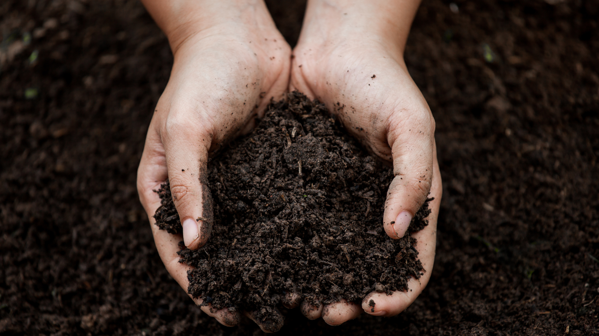 3 Prospek Kerja Ilmu Pertanahan